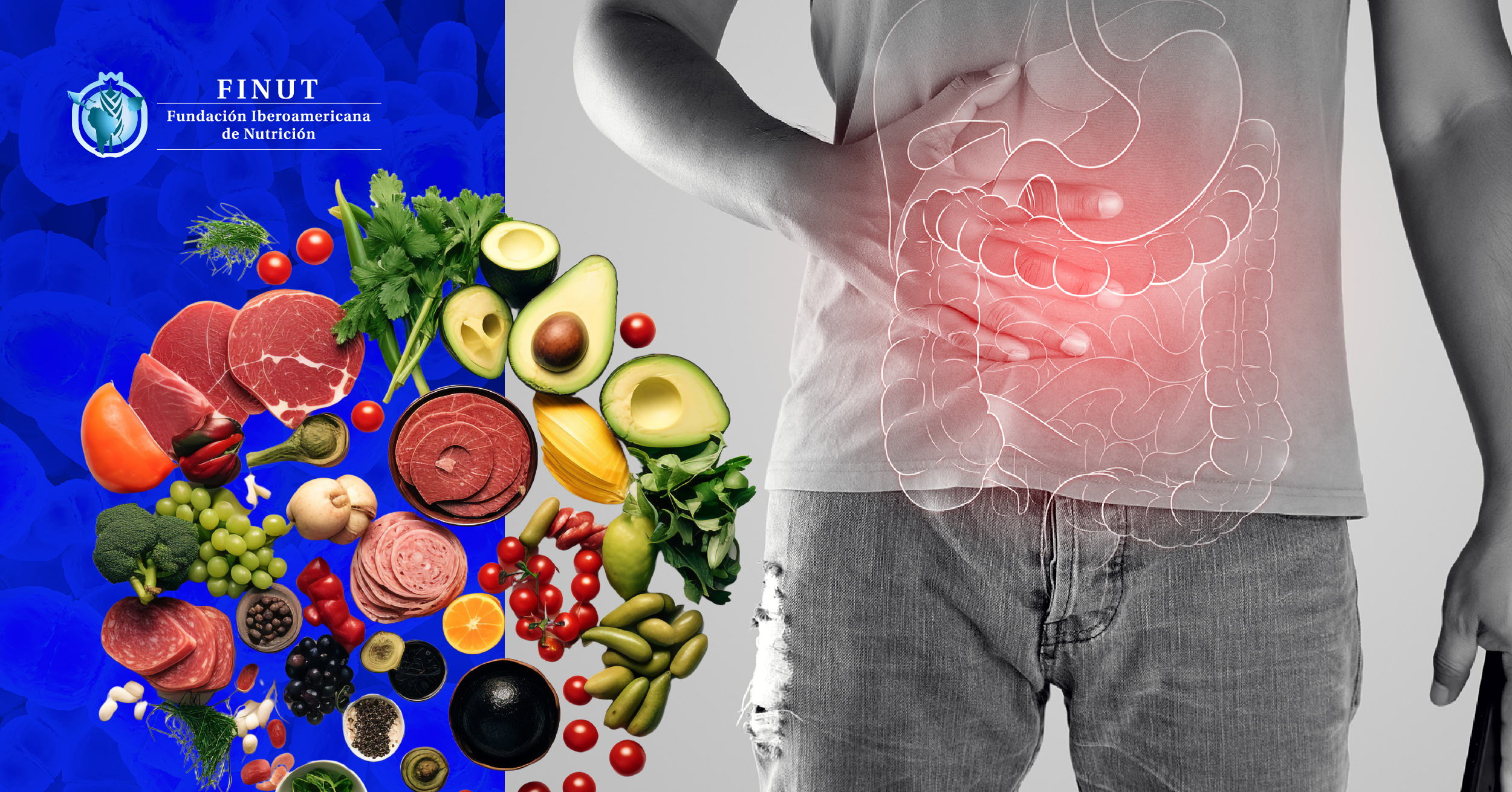 La dieta y la microbiota: un área científica fundamental en la salud gastrointestinal